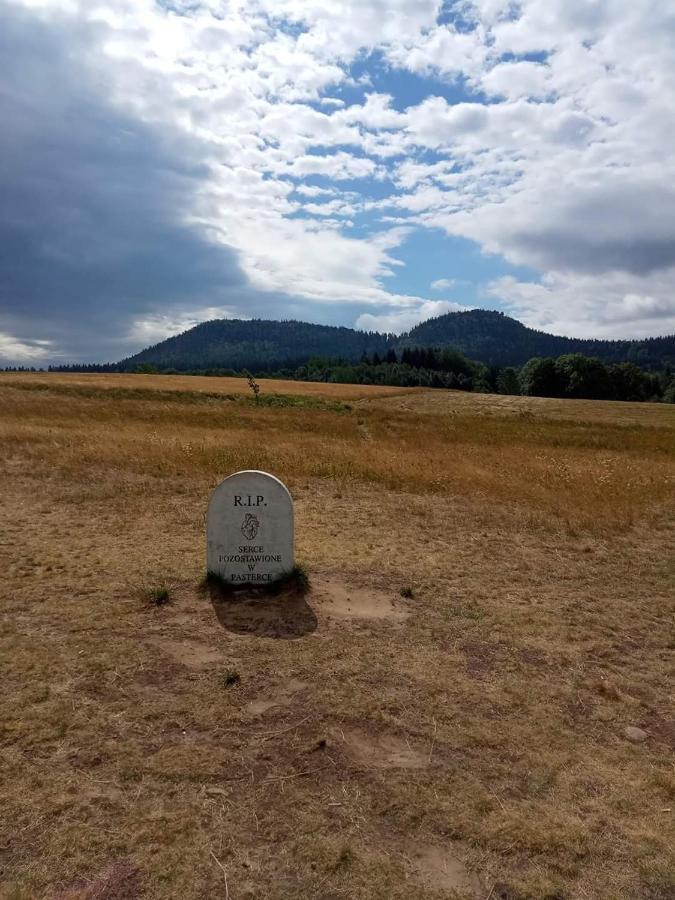 Schronisko Pttk Pasterka ภายนอก รูปภาพ